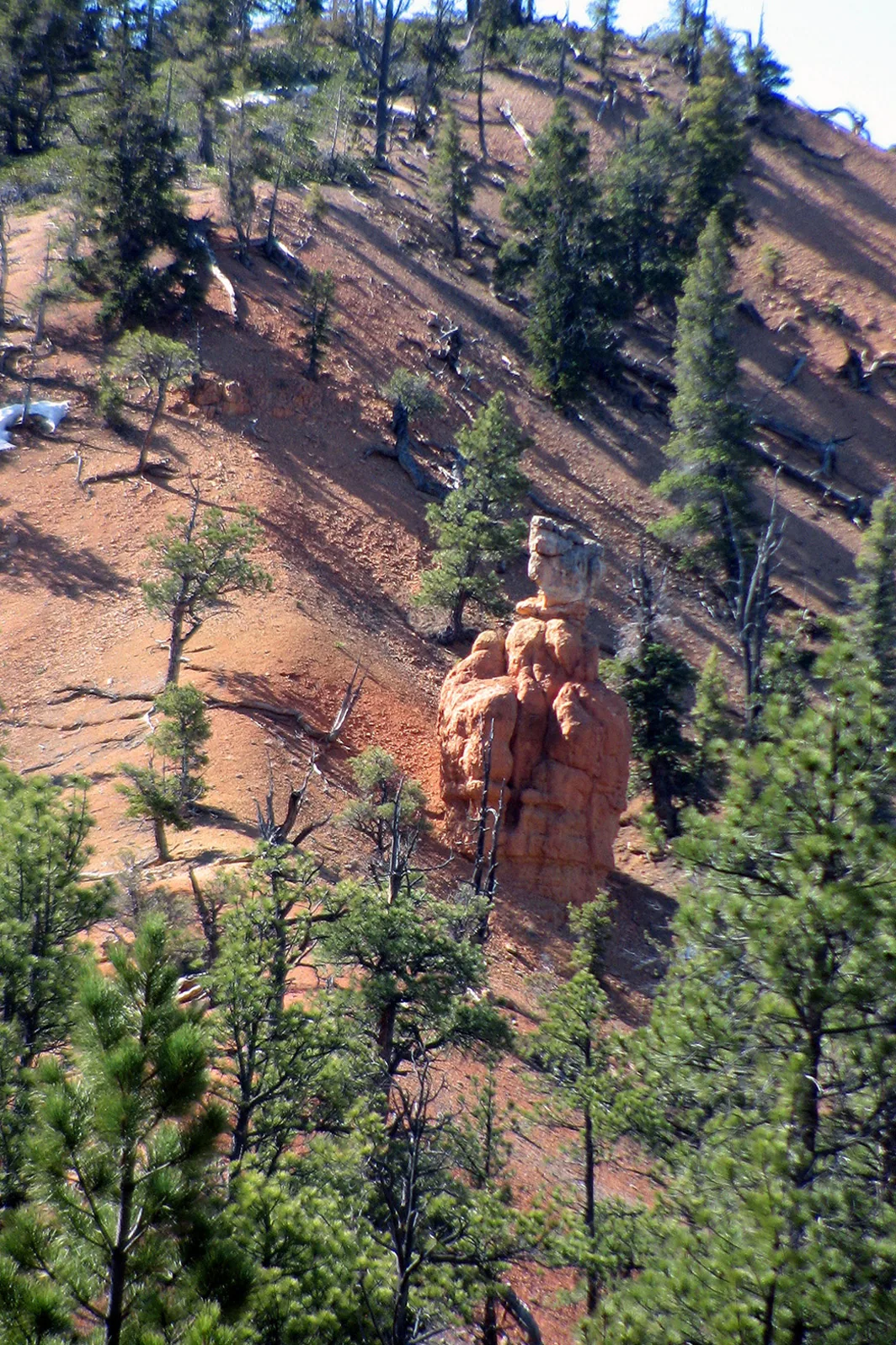 Arizona – 2008 - 160.jpg