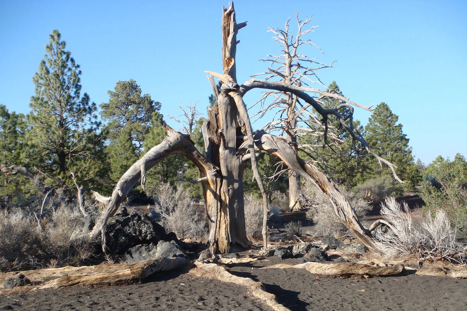 Arizona – 2008 - 252.jpg
