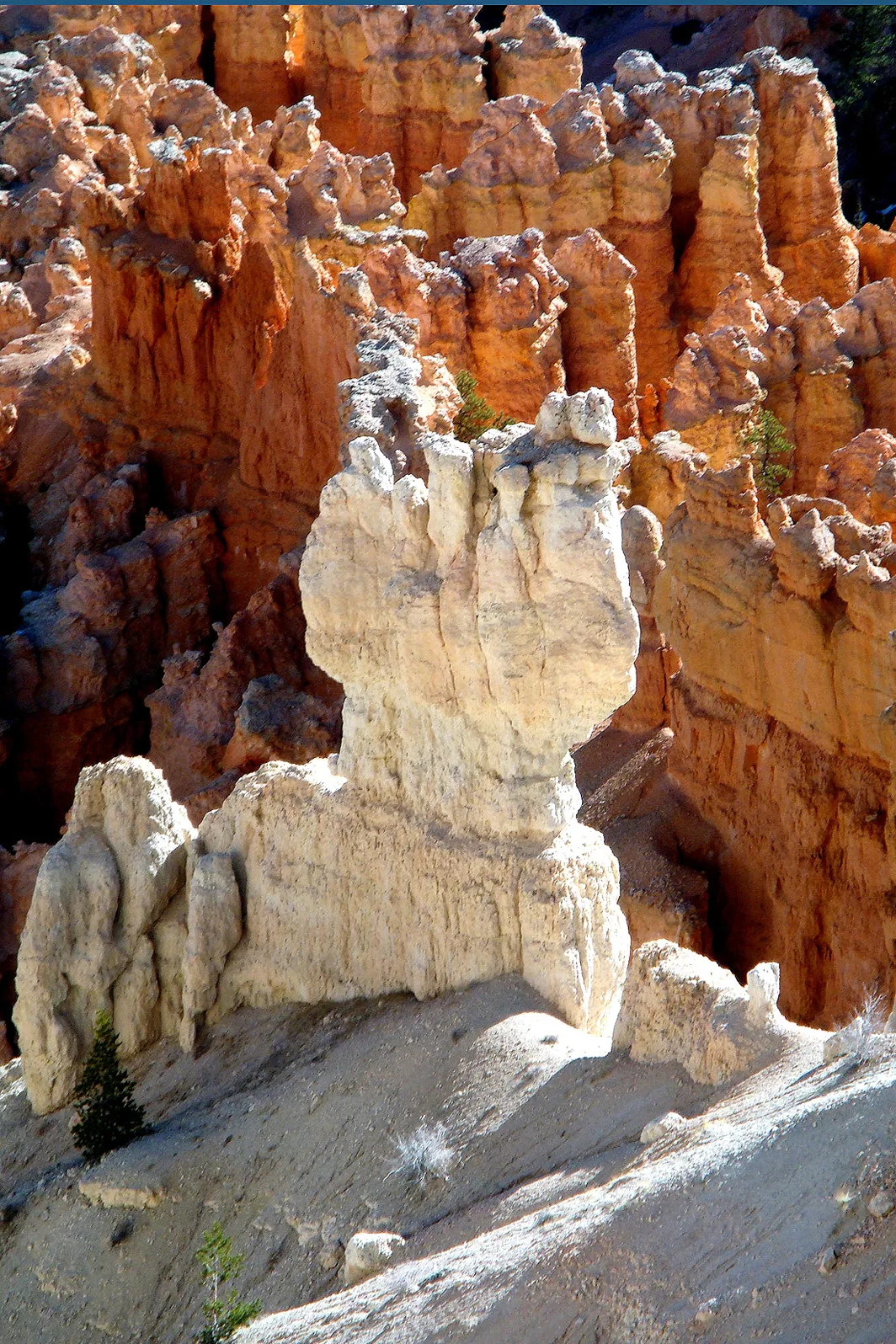 Arizona – 2008 - 143a.jpg
