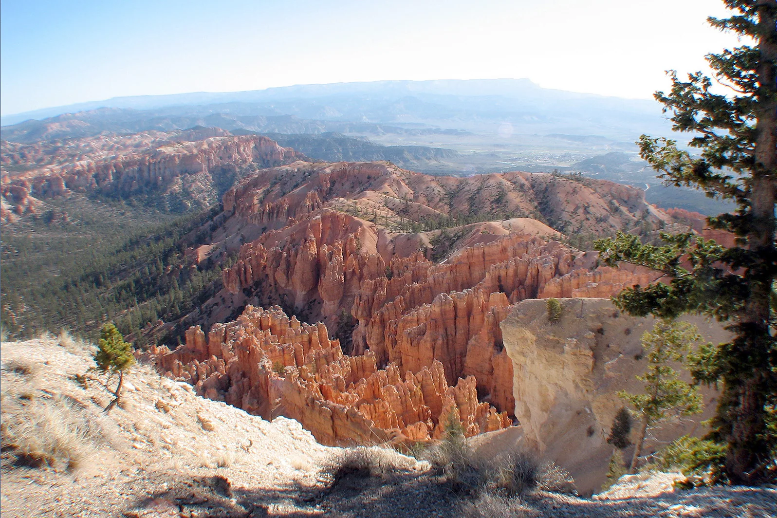 Arizona – 2008 - 151.jpg