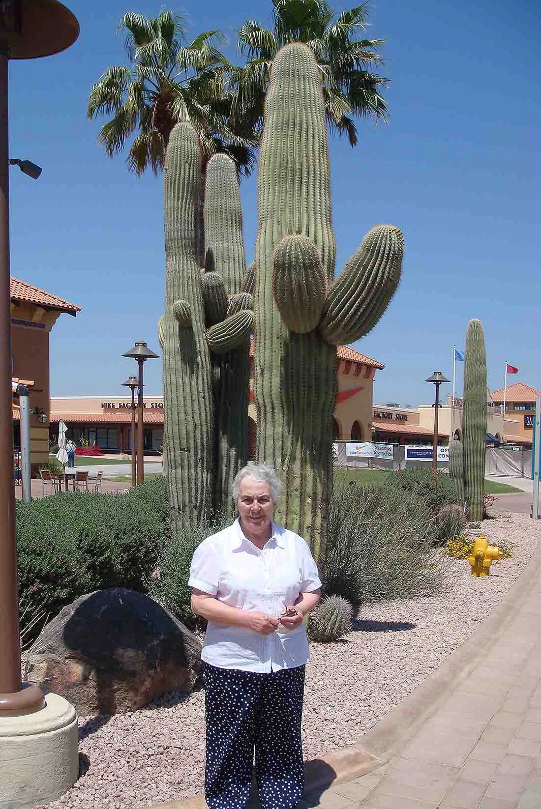 Arizona – 2008 - 261.jpg