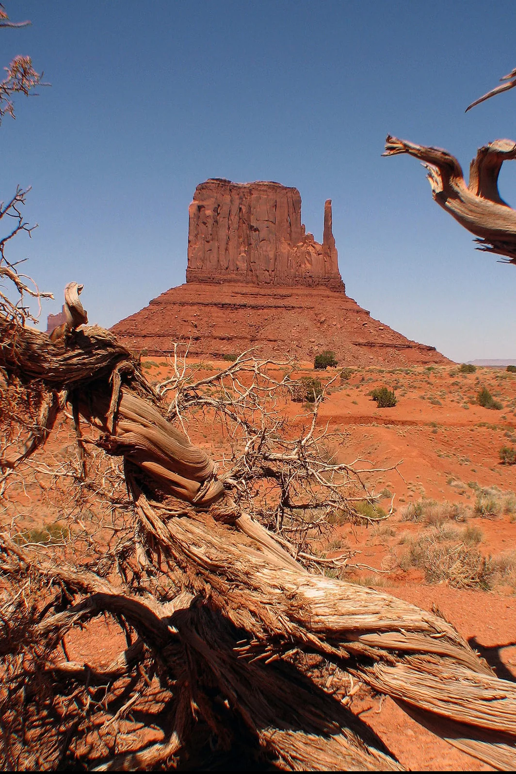 Arizona – 2008 - 063.jpg