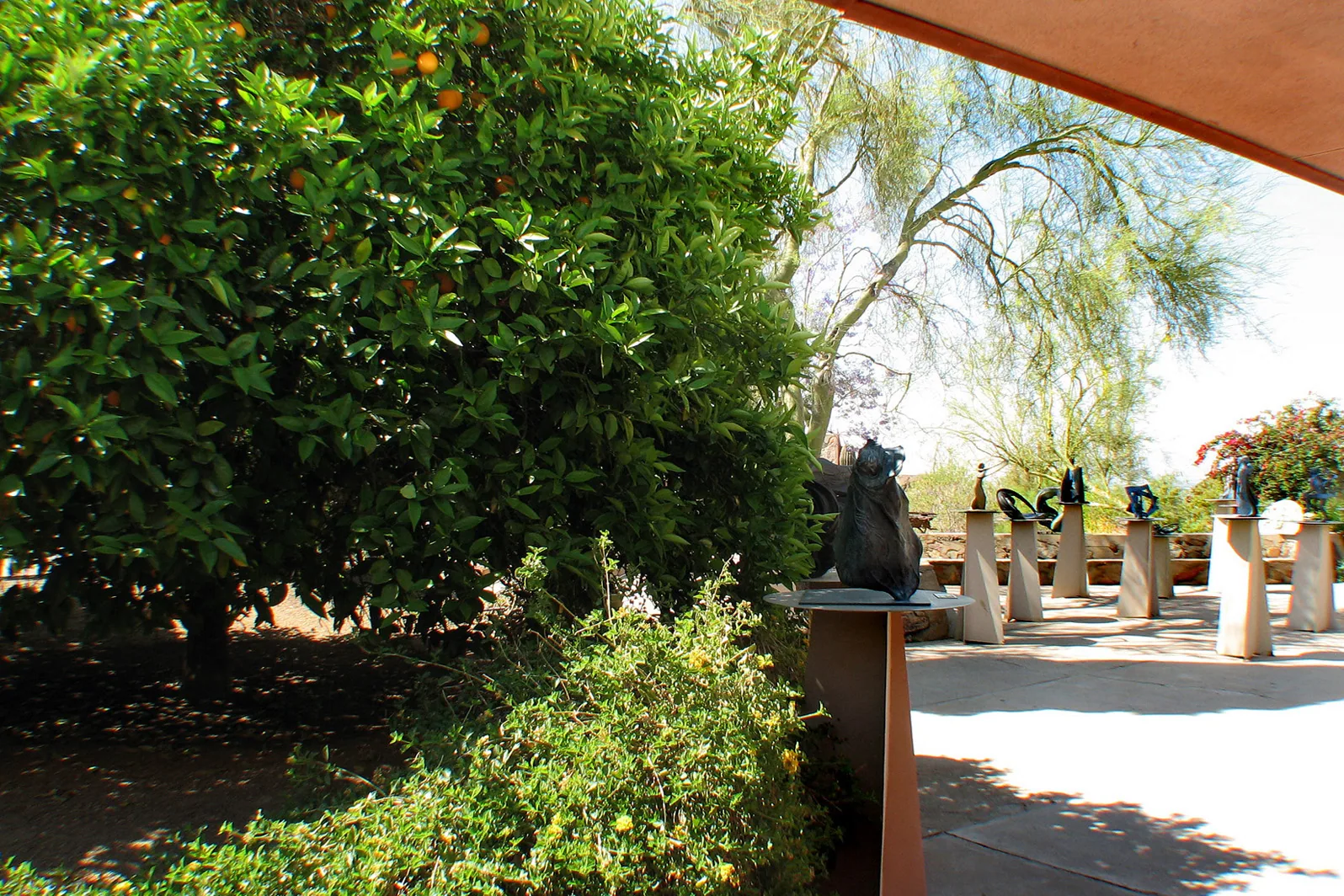 Arizona – 2008 - 304.jpg