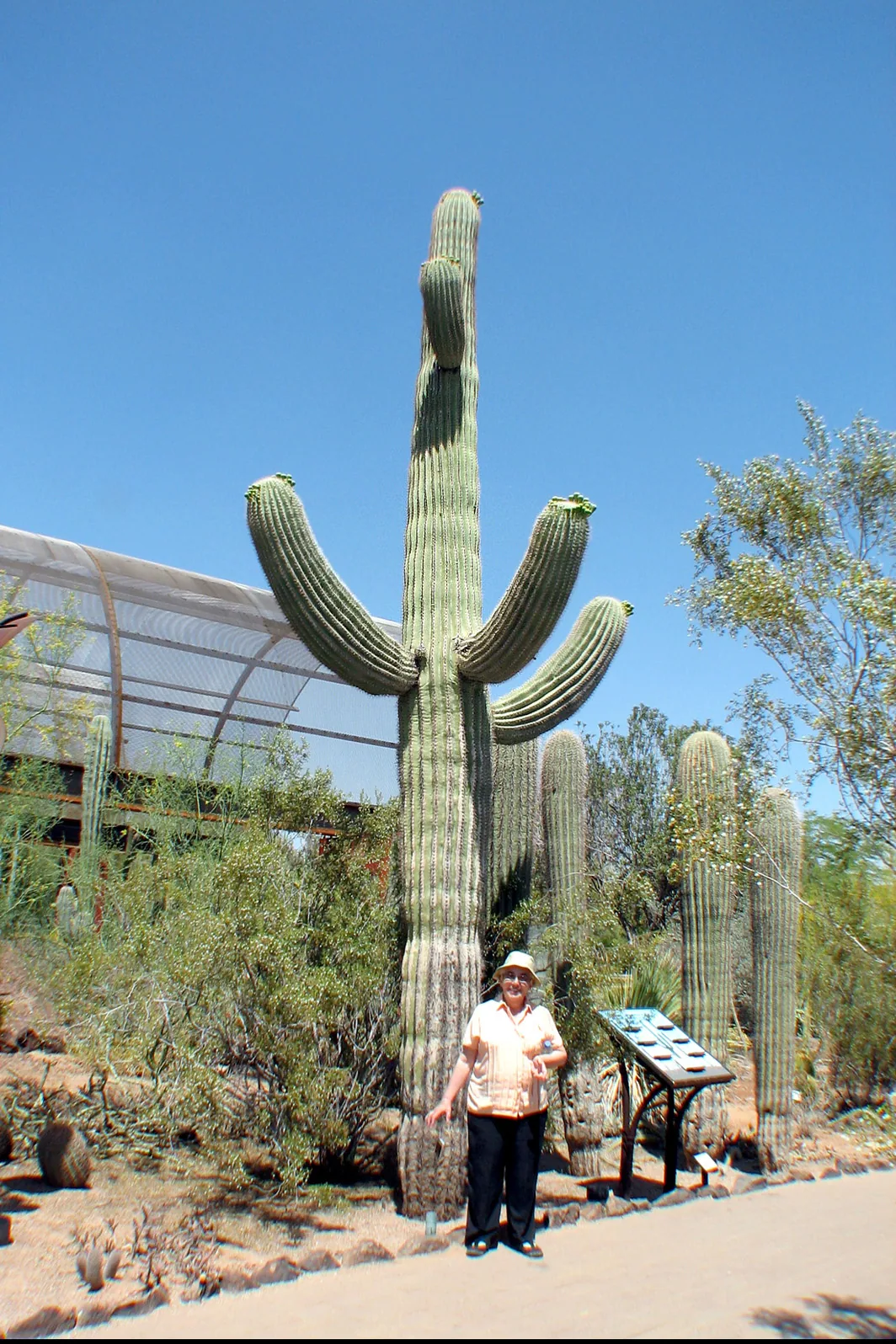 Arizona – 2008 - 316.jpg