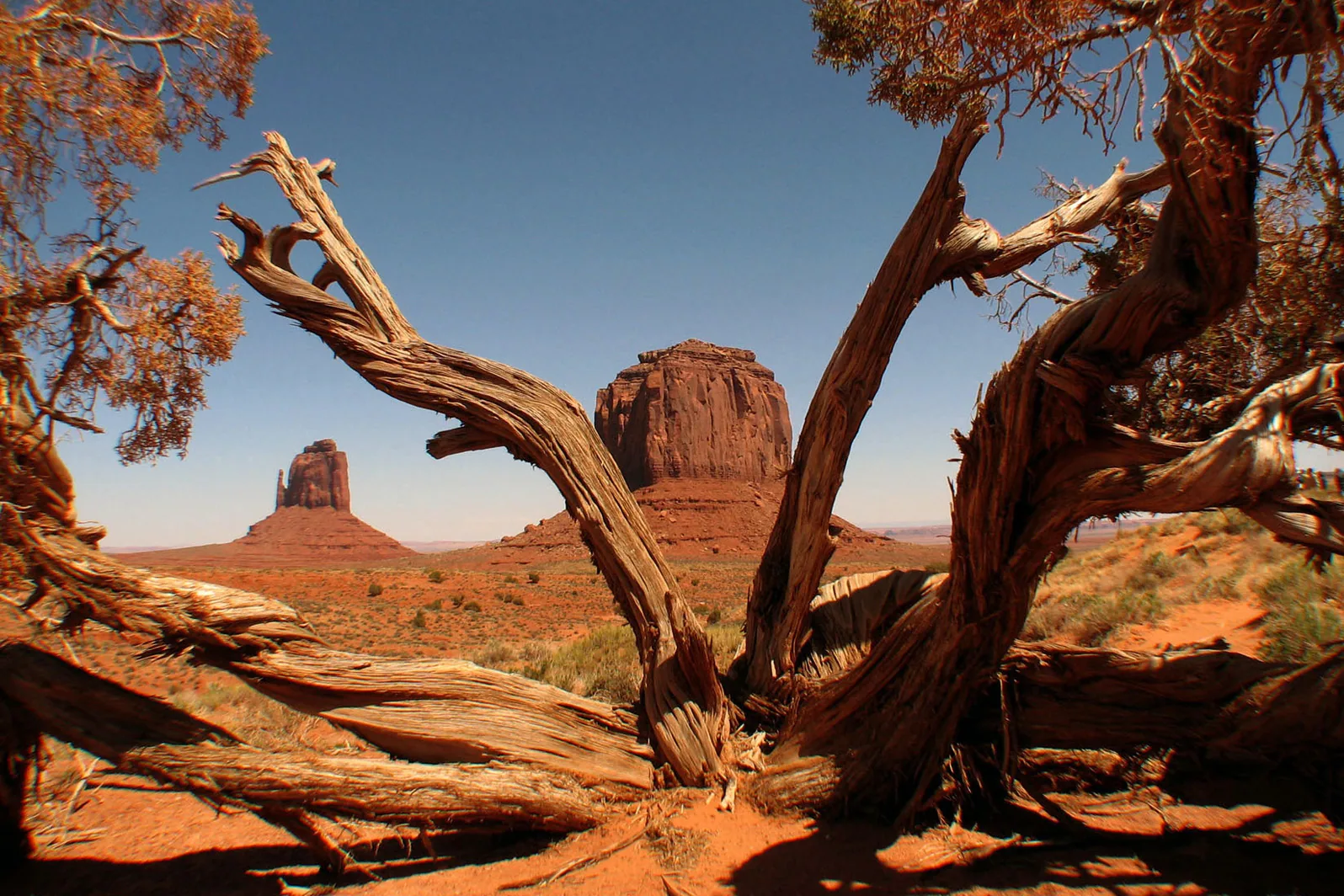 Arizona – 2008 - 062.jpg