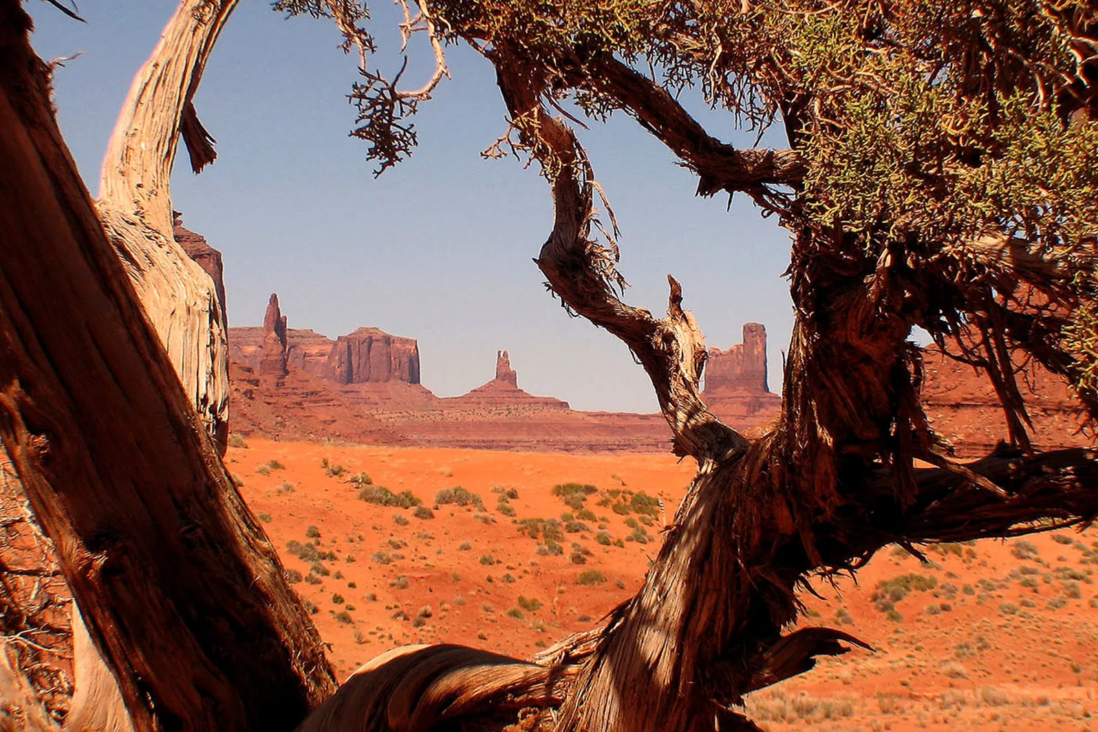 Arizona – 2008 - 065.jpg