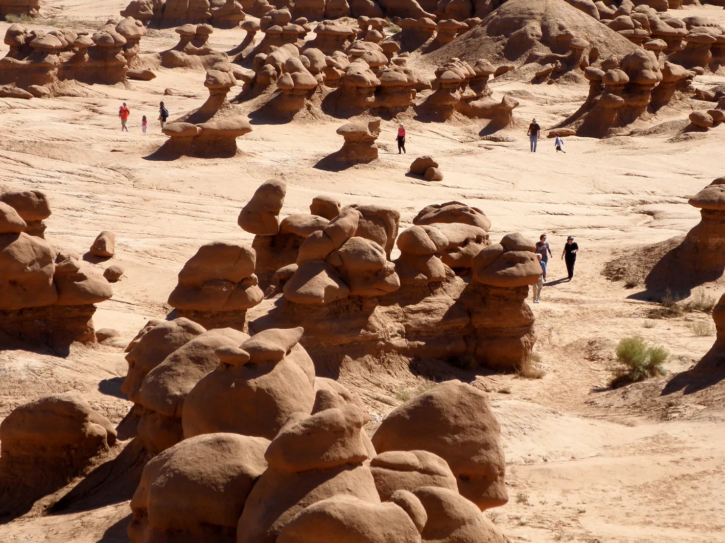 New Mexico, Utah – 2010 - 11-045.jpg