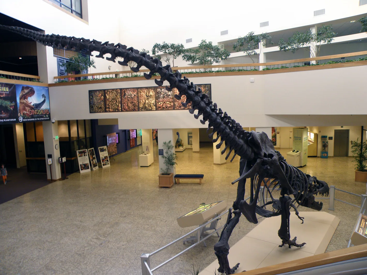 New Mexico, Utah – 2010 - 15-040.jpg