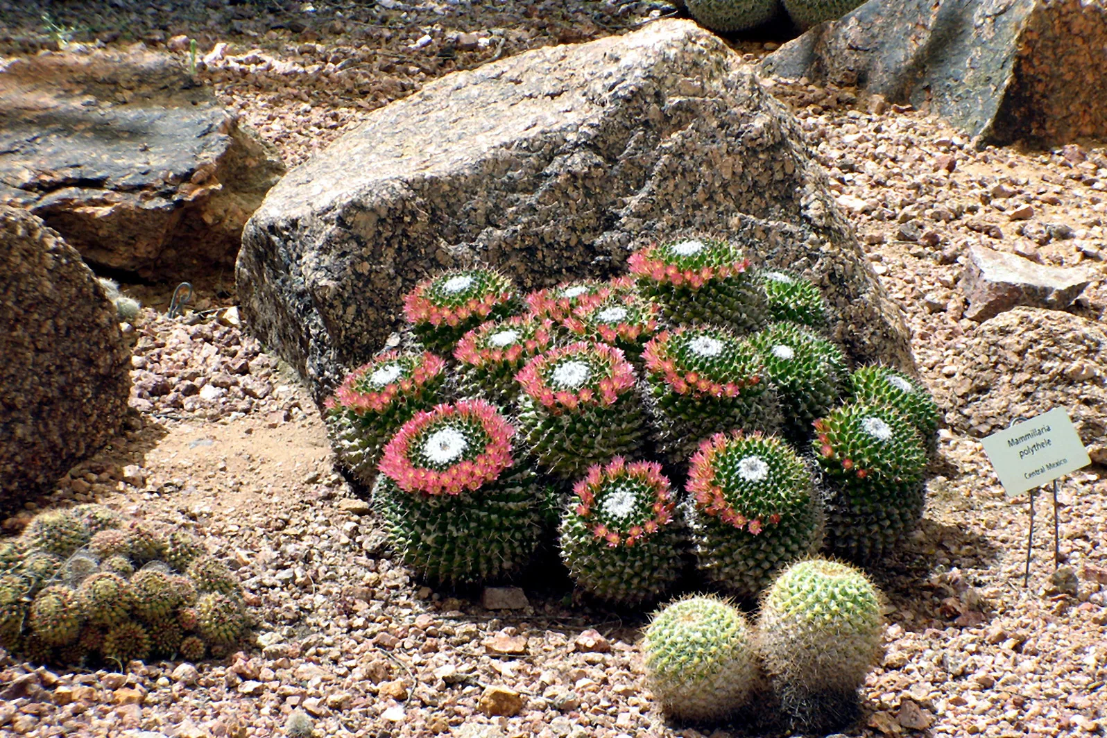 America – 1996-2018 - 319.jpg