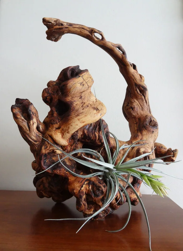 America – 1996-2018 - fl-84.jpg