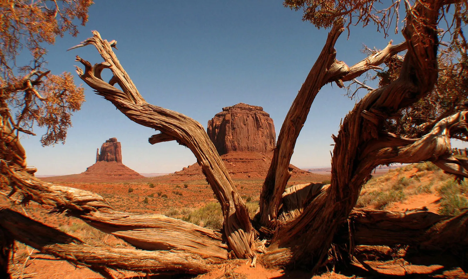 America – 1996-2018 - 062.jpg