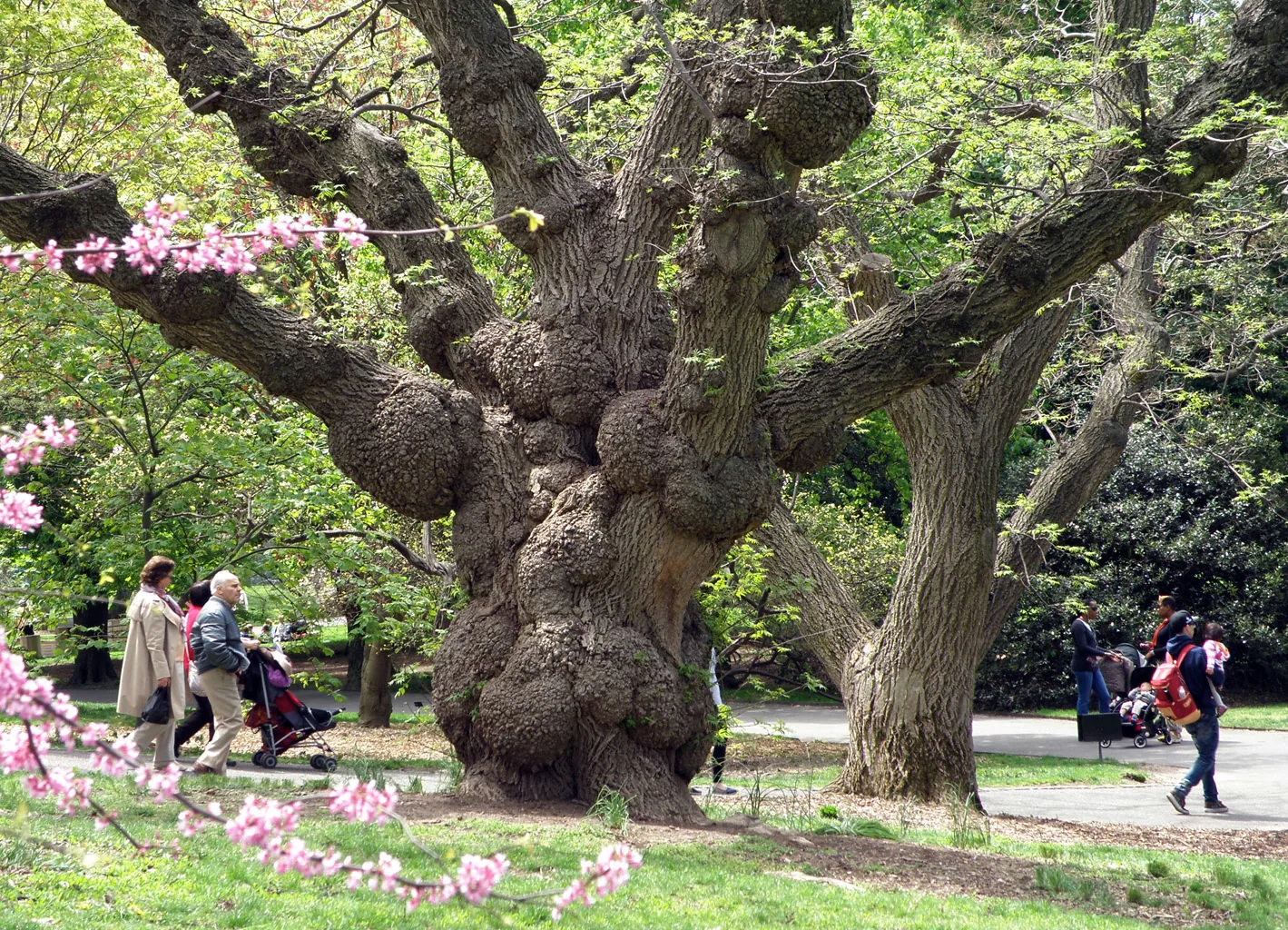 America – 1996-2018 - 14bg34.jpg