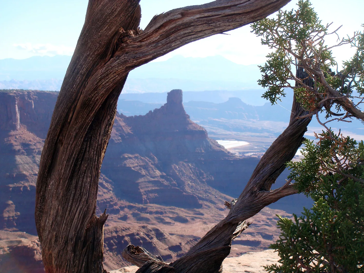 America – 1996-2018 - 12-006.jpg