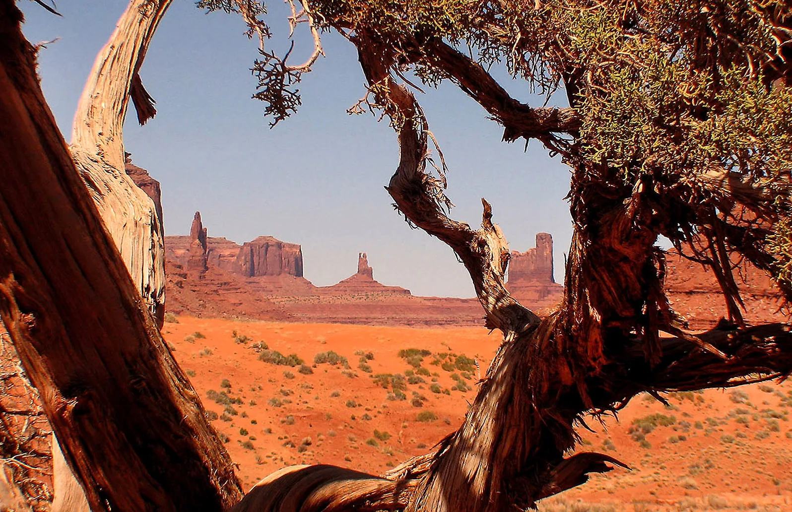 America – 1996-2018 - 16.jpg