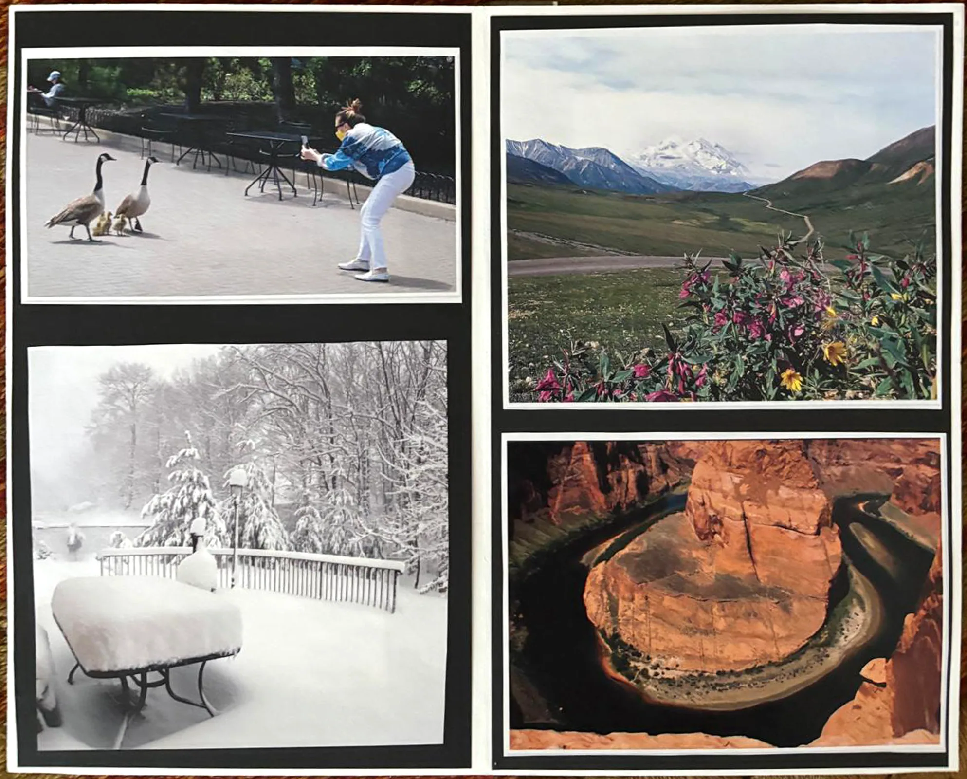 Sonya's Album - Layer 7.png