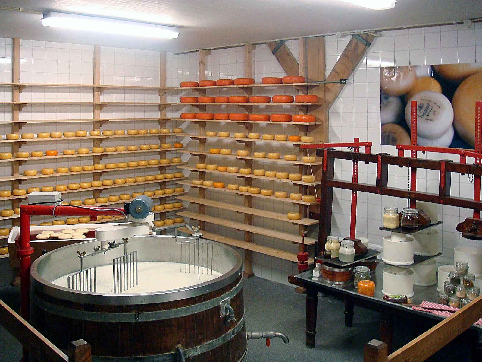 Belgium, Netherlands, Luxembourg – 2009 - 504.jpg