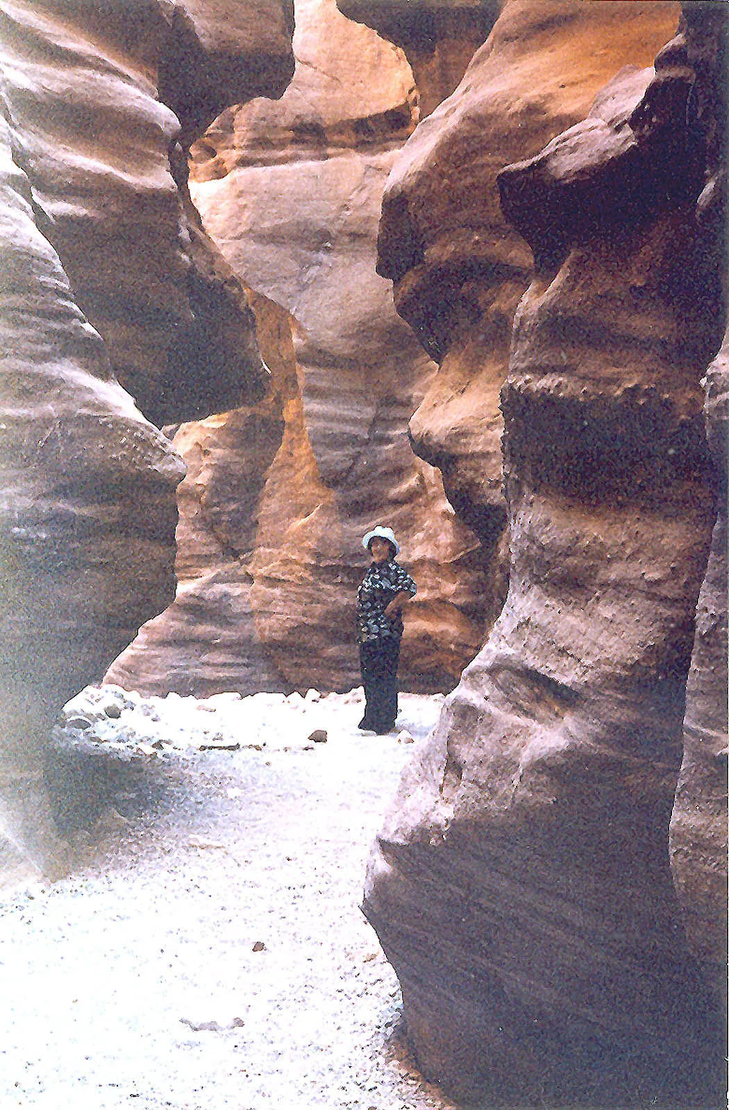 Israel – 1998-99 - 1998-i81.jpg