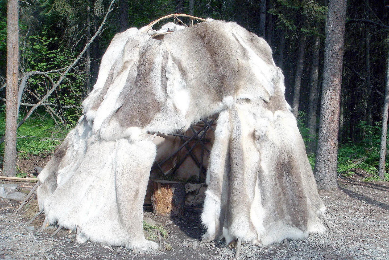 Alaska – 2008 - 2008-11.07-52.jpg