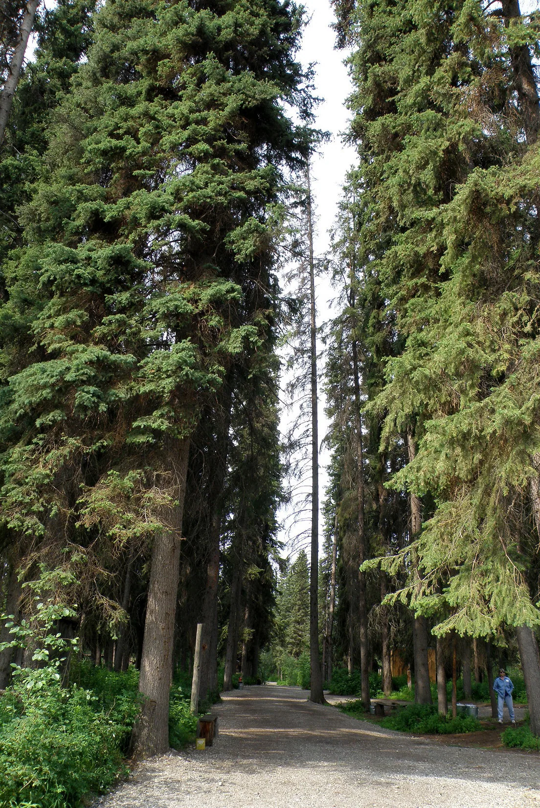 Alaska – 2008 - 2008-11.07-57.jpg