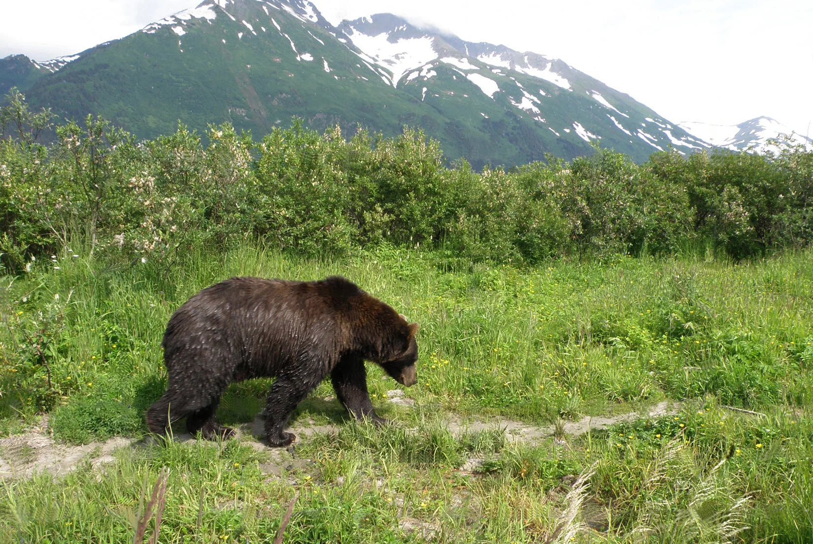 Alaska – 2008 - 2008-15.07-33.jpg