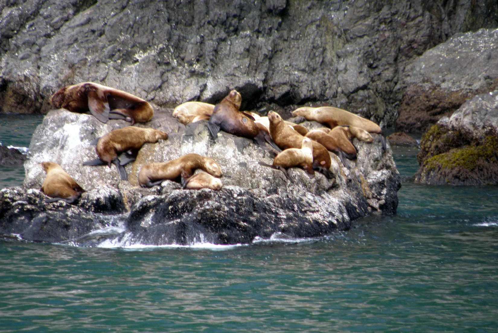 Alaska – 2008 - 2008-14.07-25.jpg