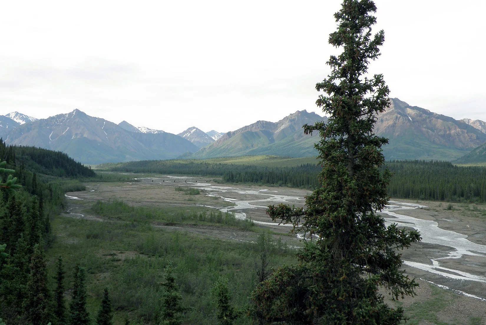 Alaska – 2008 - 2008-10.07-2.jpg