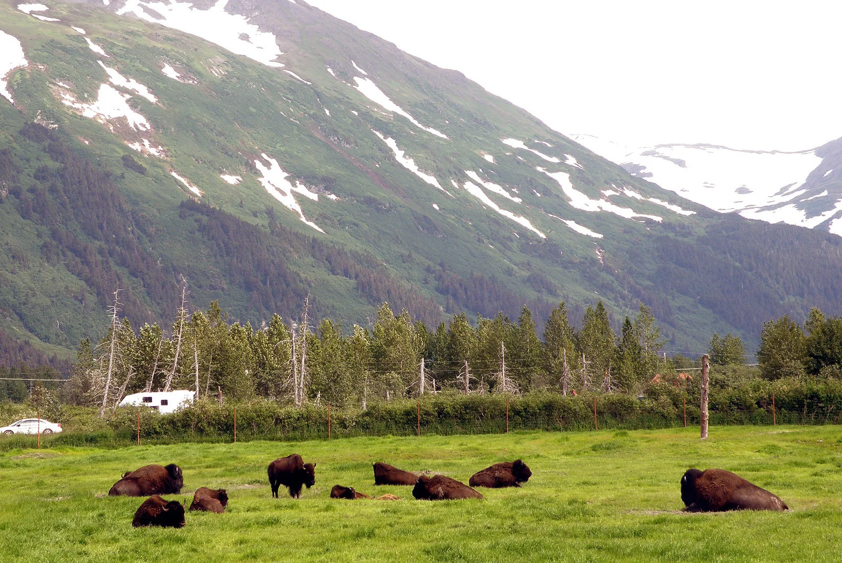 Alaska – 2008 - 2008-15.07-27.jpg