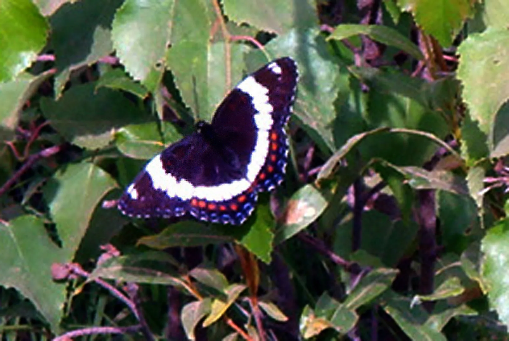 Alaska – 2008 - 2008-12.07-8.jpg