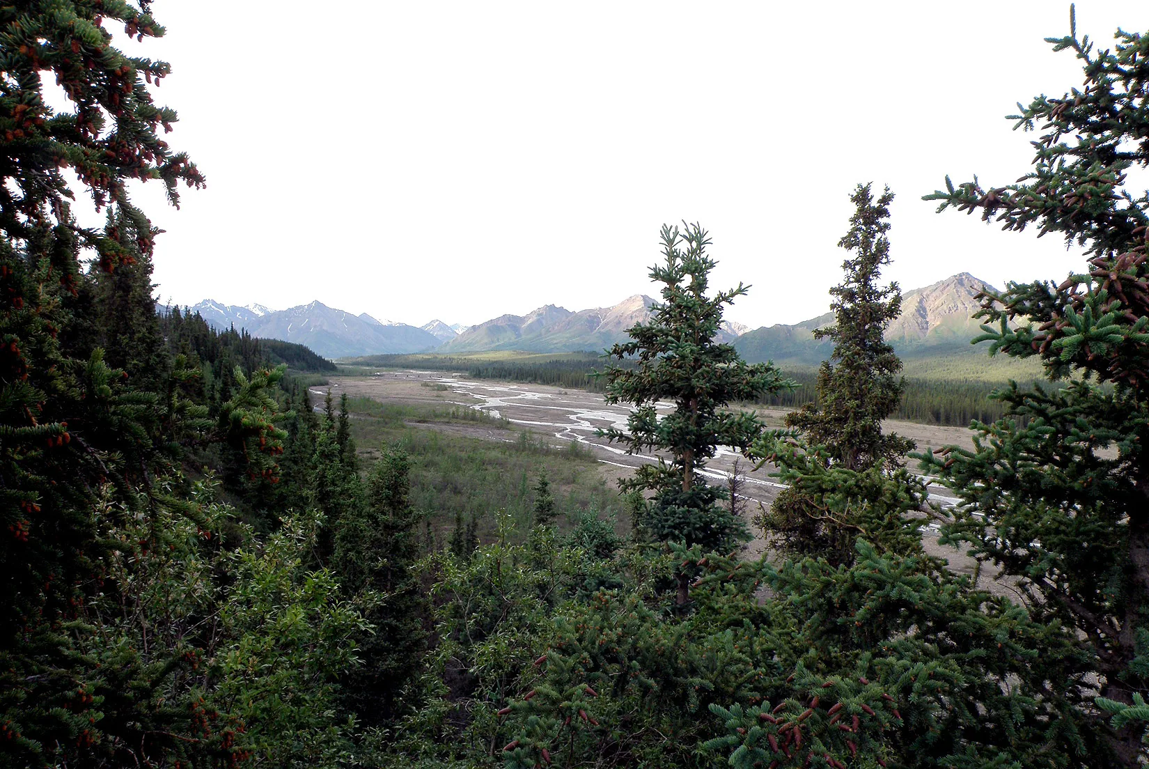 Alaska – 2008 - 2008-10.07-3.jpg