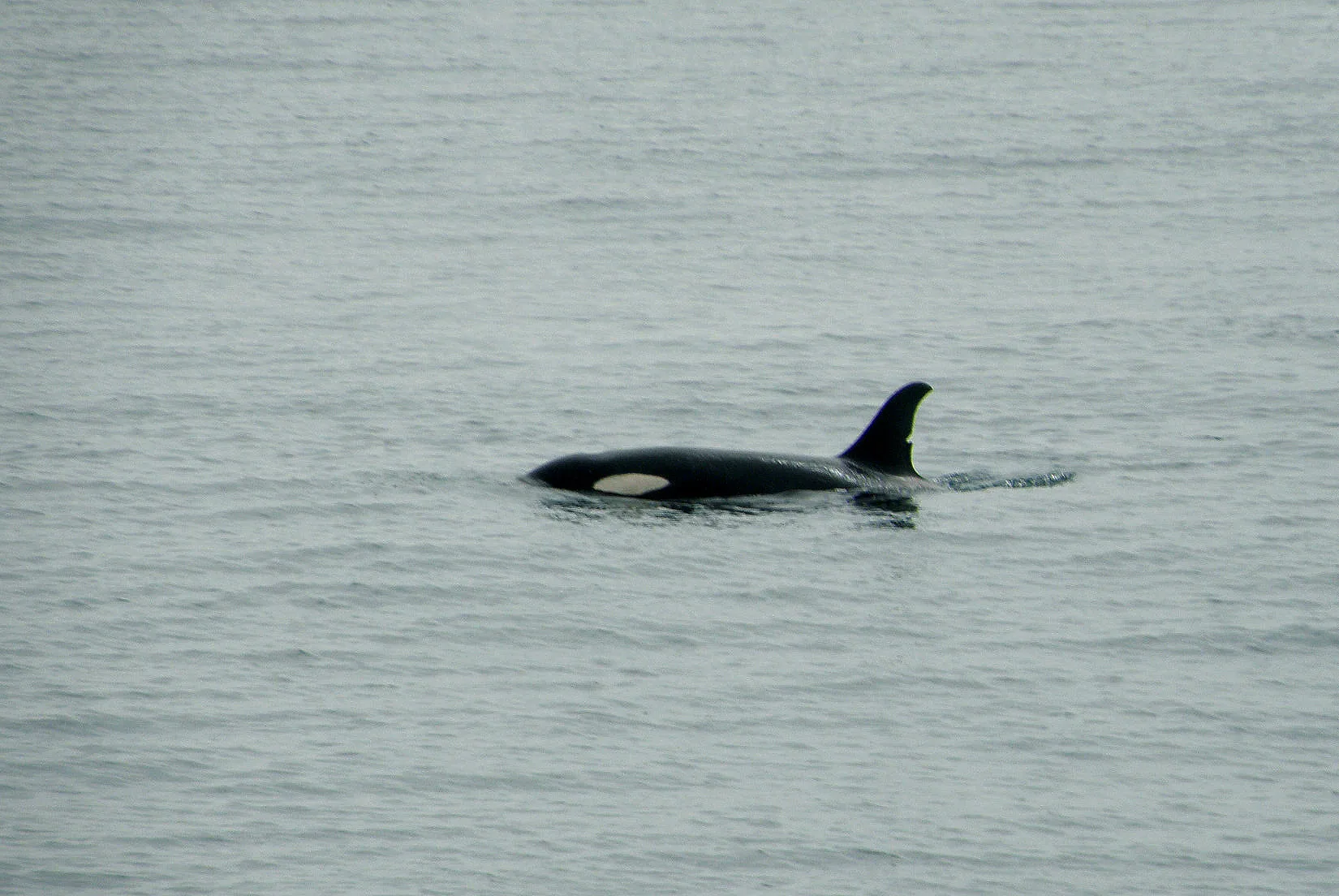 Alaska – 2008 - 2008-14.07-42.jpg