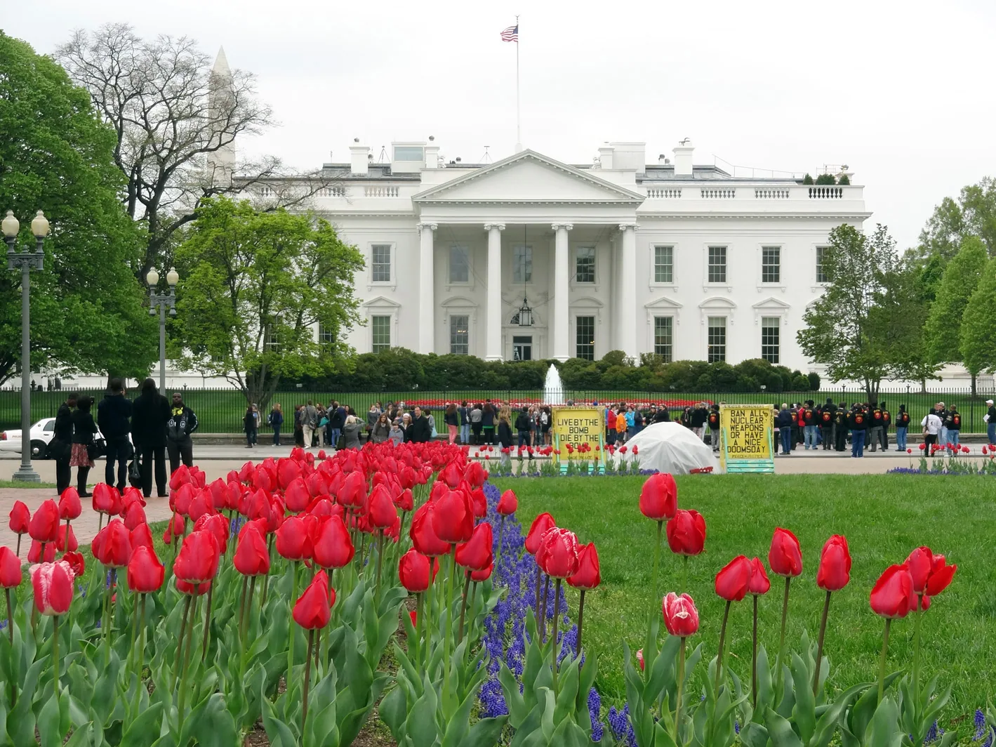 Washington – 2013 - wh003.jpg
