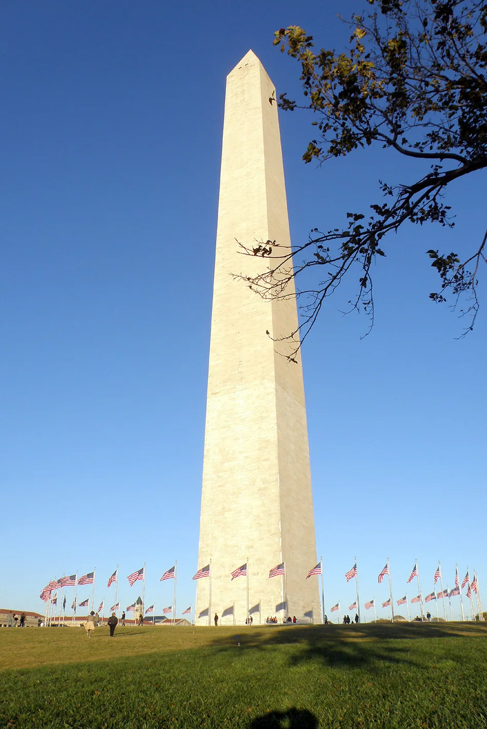 Washington – 2013 - mw003.jpg