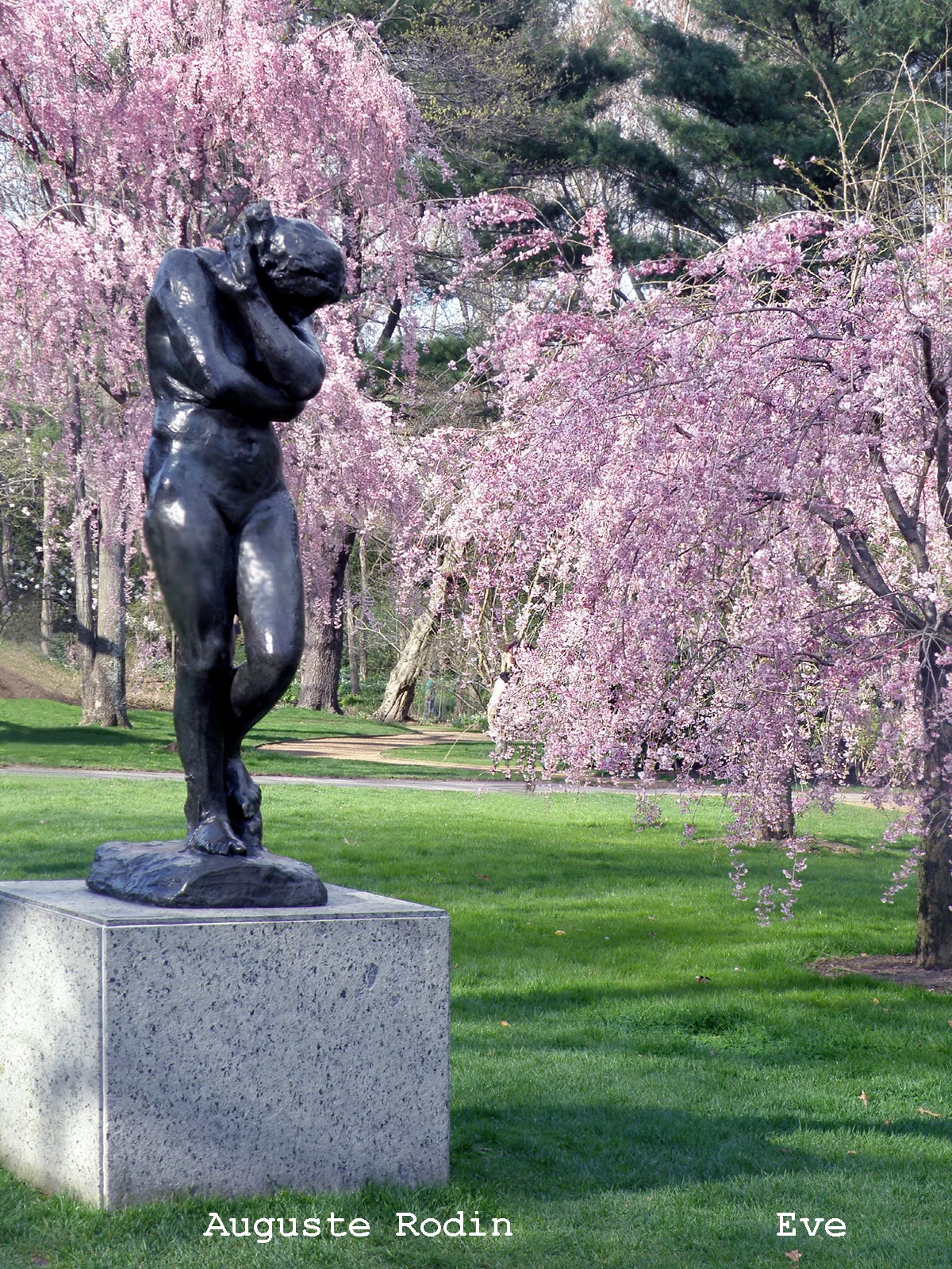 Virginia, New Hampshire, British Art – 2008-2011 - 021.jpg